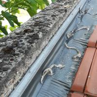 Réalisation Maison Pasquier - chantier de toiture